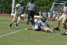 Enlarge photo 113