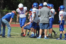 Enlarge photo 115