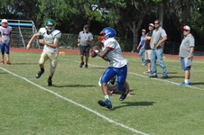 Enlarge photo 141