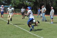 Enlarge photo 142