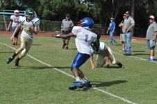 Enlarge photo 143