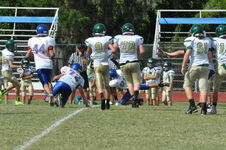 Enlarge photo 163
