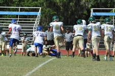 Enlarge photo 166