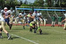 Enlarge photo 179