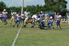 Enlarge photo 184