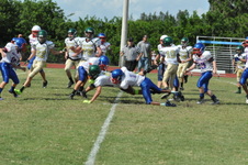 Enlarge photo 186
