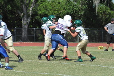 Enlarge photo 196