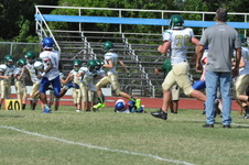 Enlarge photo 199