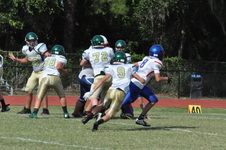 Enlarge photo 201