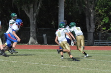 Enlarge photo 203