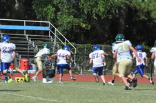 Enlarge photo 206