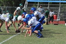 Enlarge photo 223