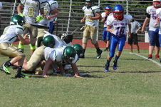 Enlarge photo 224