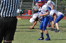 Enlarge photo 225