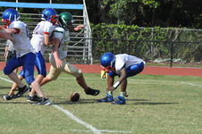 Enlarge photo 228