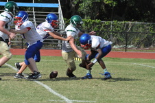 Enlarge photo 229