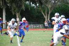 Enlarge photo 717