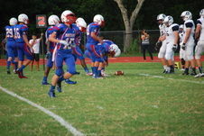 Enlarge photo 729