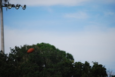 Enlarge photo 742