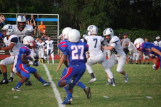Enlarge photo 745