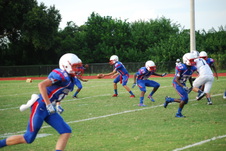 Enlarge photo 781