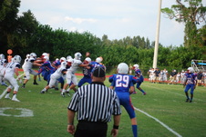 Enlarge photo 797
