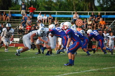 Enlarge photo 847