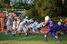 Enlarge photo 873