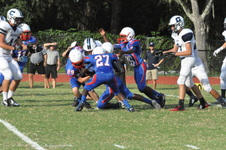 Enlarge photo 21