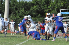 Enlarge photo 41