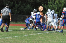 Enlarge photo 49