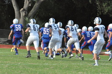 Enlarge photo 53