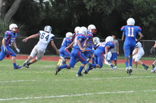 Enlarge photo 73