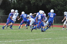 Enlarge photo 74
