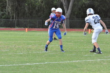 Enlarge photo 85