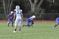 Enlarge photo 88