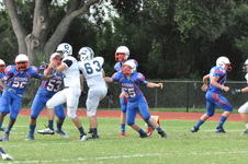 Enlarge photo 95