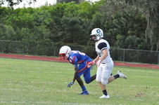 Enlarge photo 98