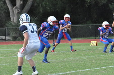 Enlarge photo 104
