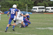 Enlarge photo 115