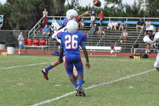 Enlarge photo 270