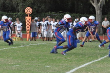 Enlarge photo 279