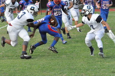 Enlarge photo 290