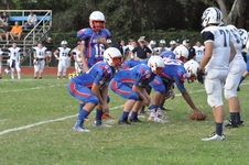 Enlarge photo 292