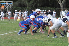 Enlarge photo 294