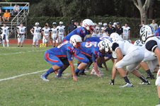 Enlarge photo 295