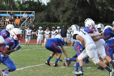 Enlarge photo 297