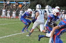 Enlarge photo 299