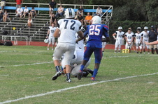Enlarge photo 302