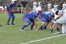 Enlarge photo 306